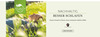 bet-0034-20-nachhaltigkeit-04-slider-startseite-db-1900x700px-fin.png